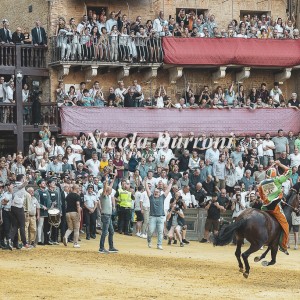 Scatti in Campo 2023